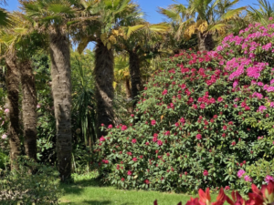 Jardin botanique de Vauville Cotentin Tourisme jardin remarquable palmeraie Chateau de Vauville Normandie @jardin botanique de Vauville